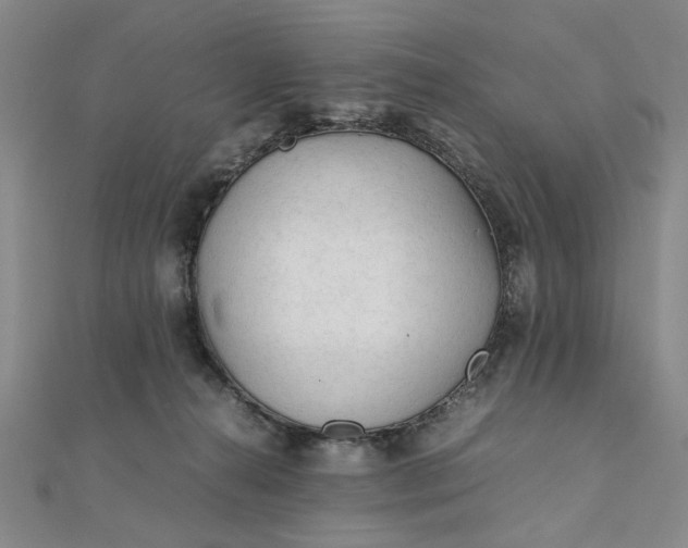 X0000111900272200908101146