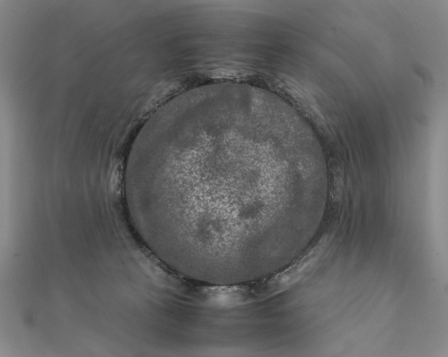 X0000111900273200908101146