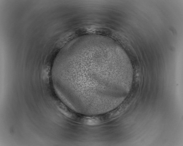 X0000111900275200908101146