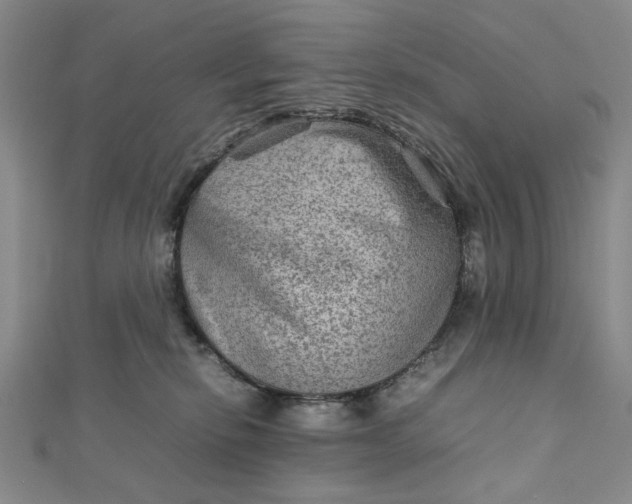 X0000111900278200908101146