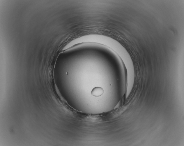 X0000111900280200908101146