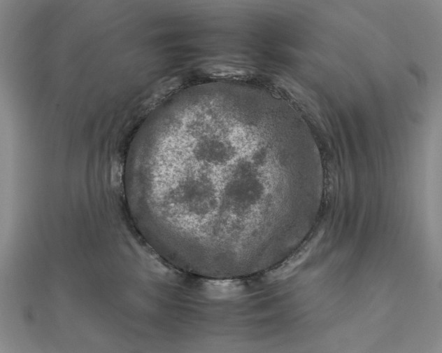 X0000111900281200908101146