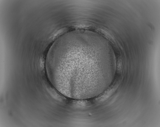 X0000111900282200908101146