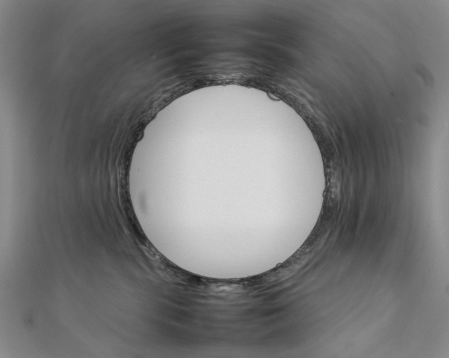 X0000111900283200908101146