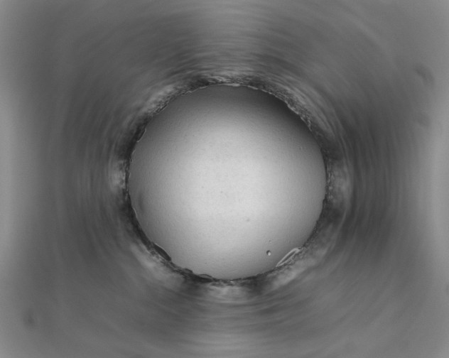 X0000111900284200908101146