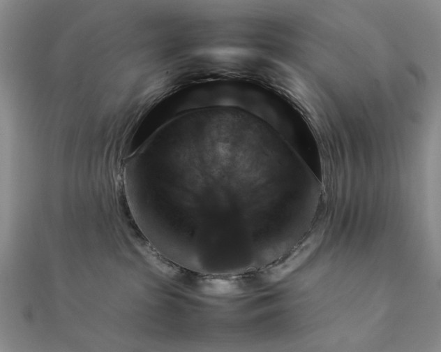 X0000111900285200908101146