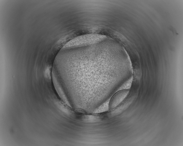 X0000111900286200908101146