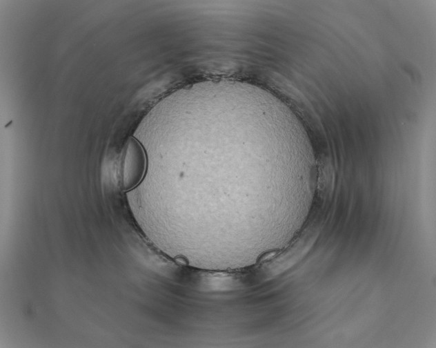 X0000111900287200908101146