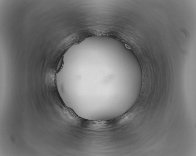 X0000111900288200908101146