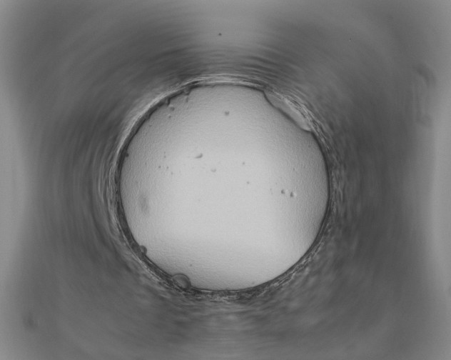 X0000111900289200908101146