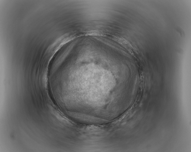 X0000111900290200908101146