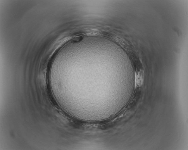 X0000111900291200908101146