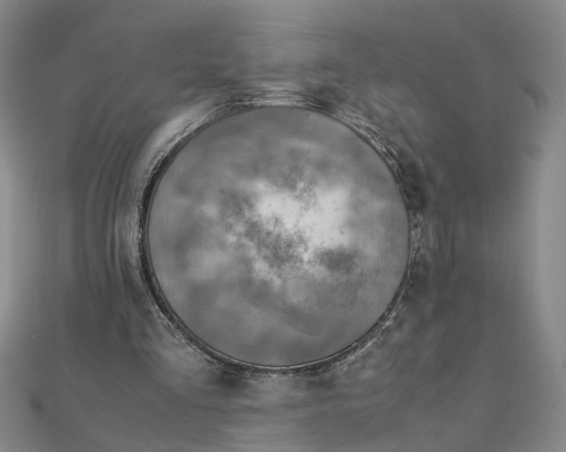 X0000111900293200908101146