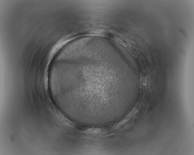 X0000111900294200908101146