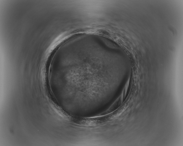 X0000111900295200908101146