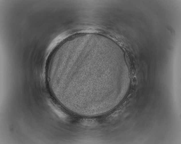 X0000111900296200908101146