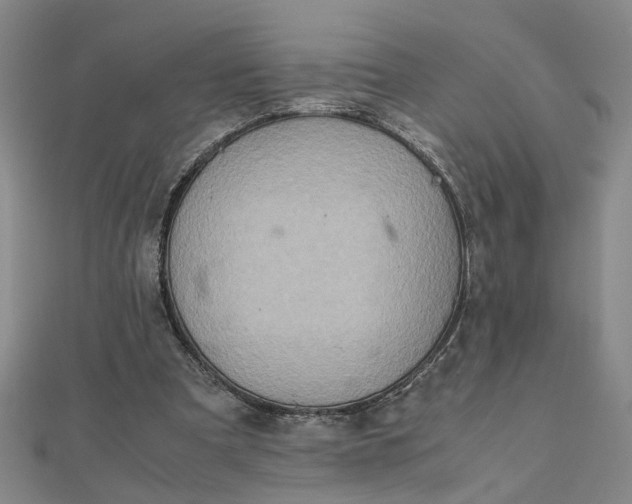 X0000111900297200908101146