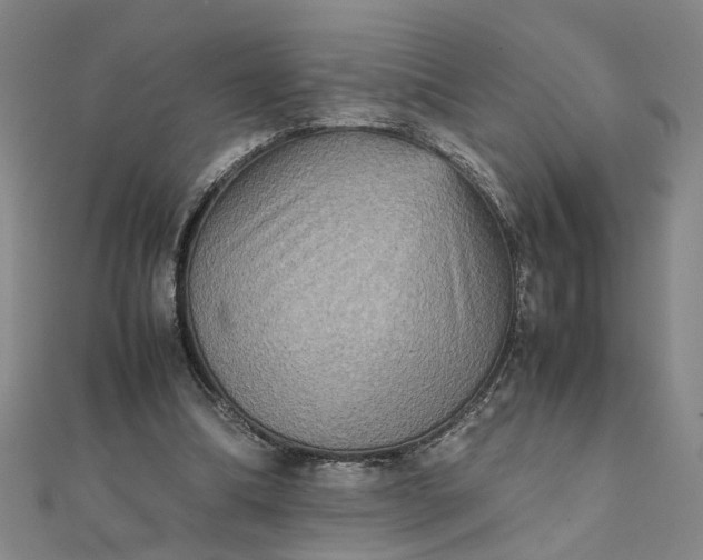 X0000111900298200908101146