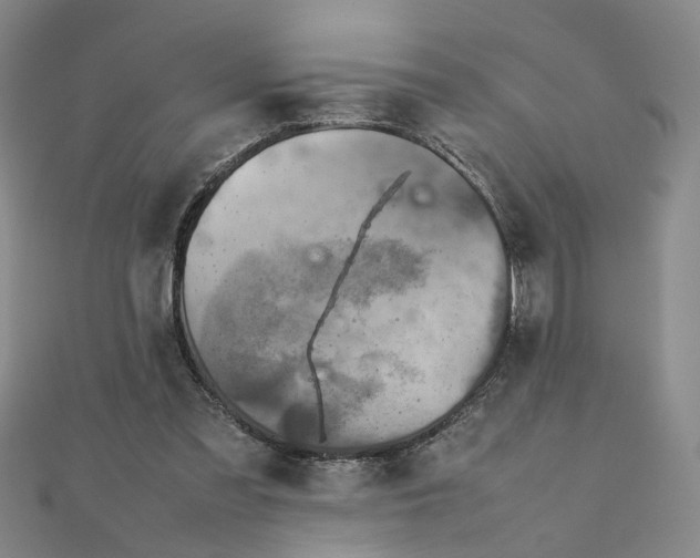 X0000111900301200908101145