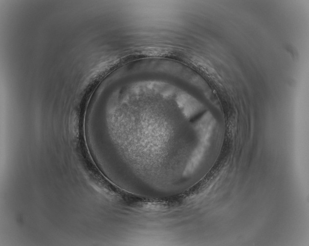 X0000111900303200908101145