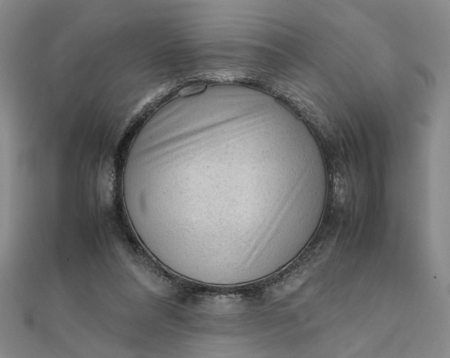 X0000111900304200908101145