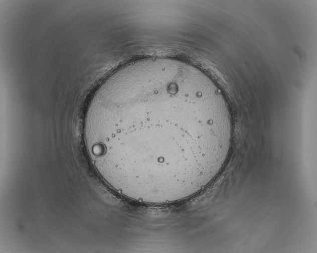 X0000111900305200908101145