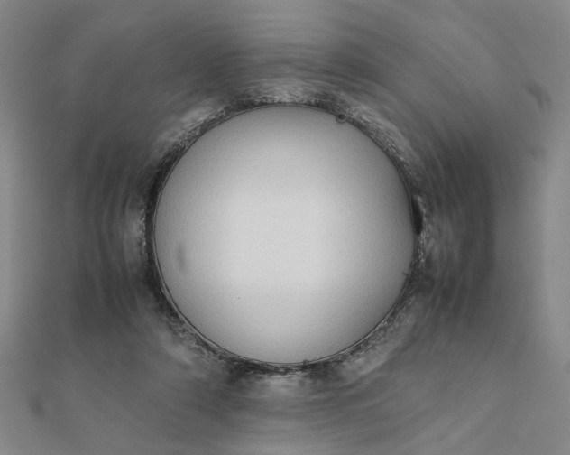 X0000111900306200908101145