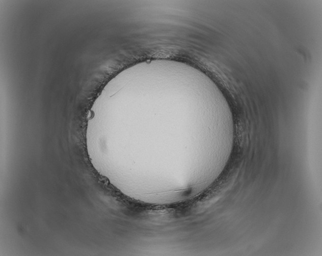 X0000111900307200908101145