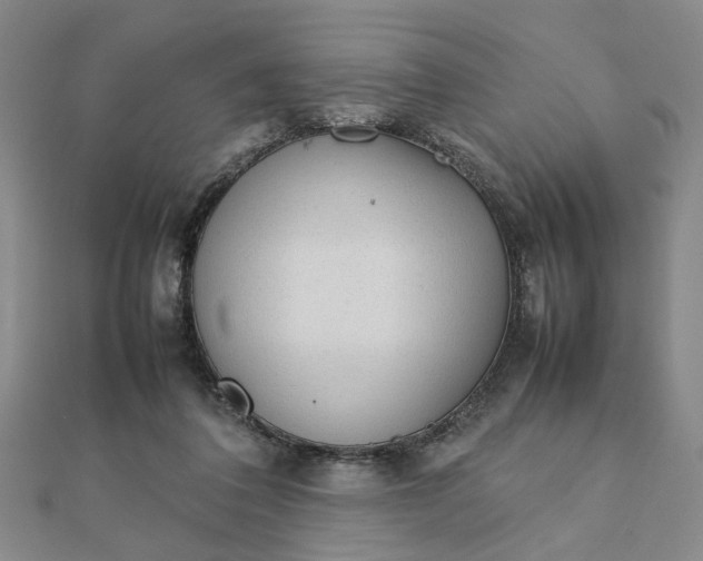 X0000111900308200908101145