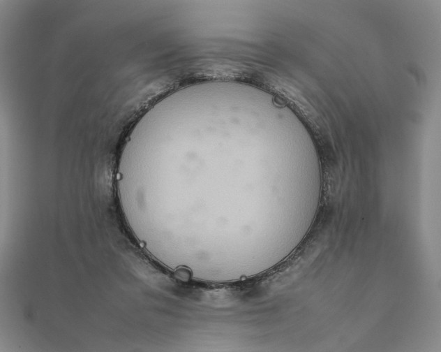 X0000111900309200908101145