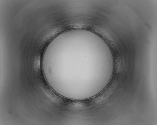 X0000111900310200908101145