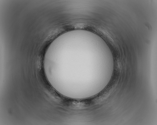 X0000111900311200908101145