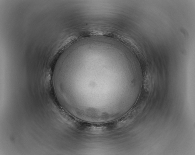 X0000111900314200908101145