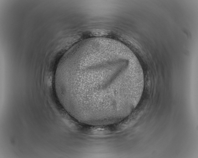 X0000111900315200908101145