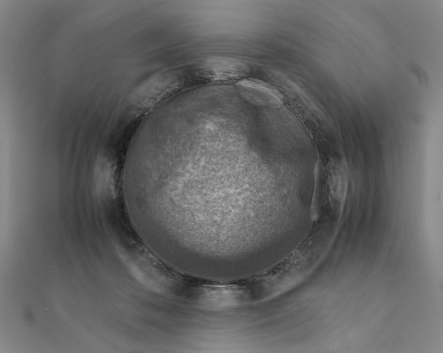 X0000111900316200908101145