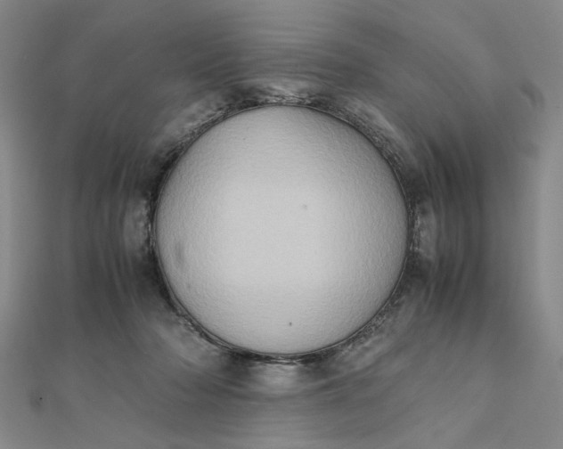 X0000111900318200908101145