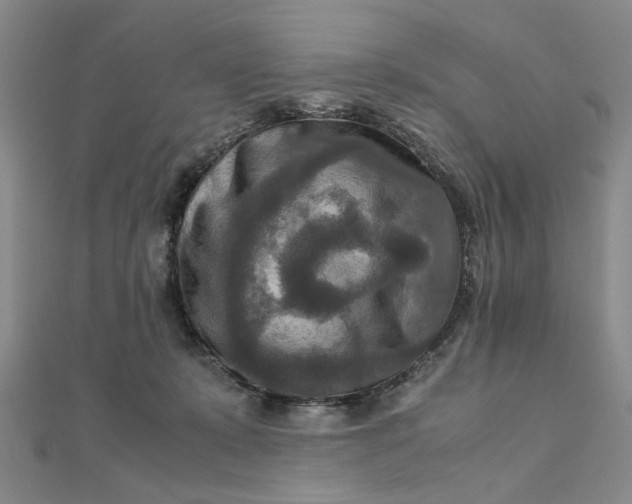 X0000111900319200908101145