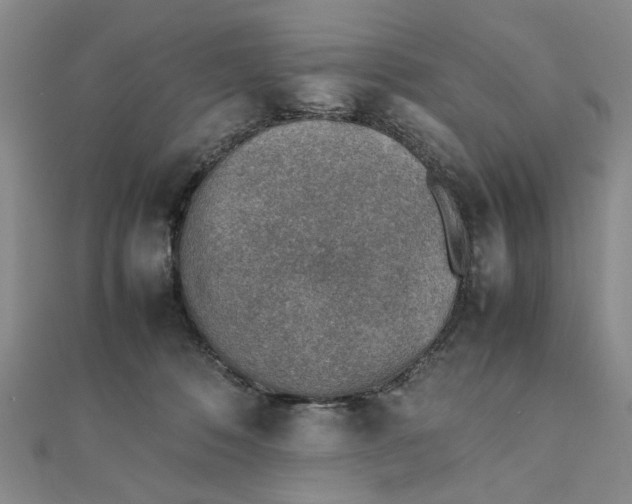 X0000111900320200908101145