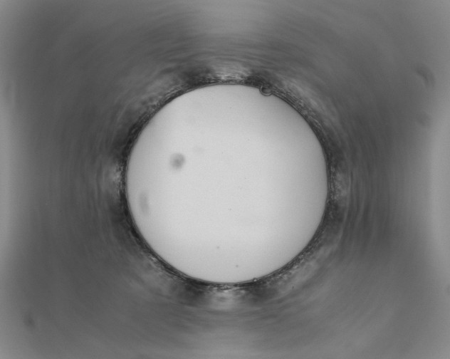 X0000111900321200908101145