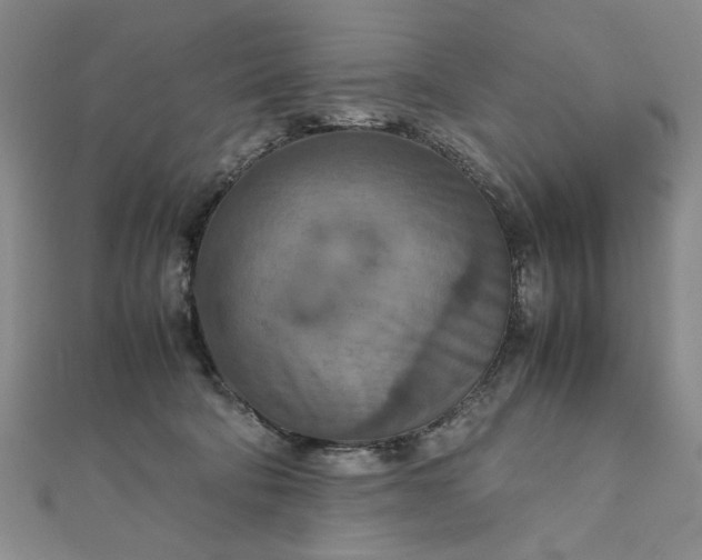 X0000111900322200908101145