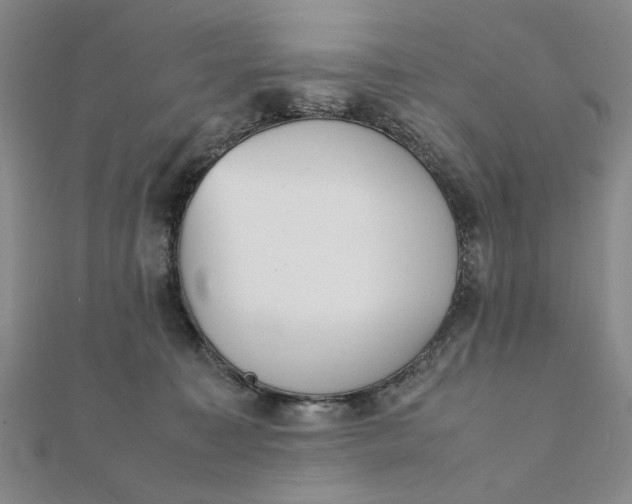 X0000111900323200908101145