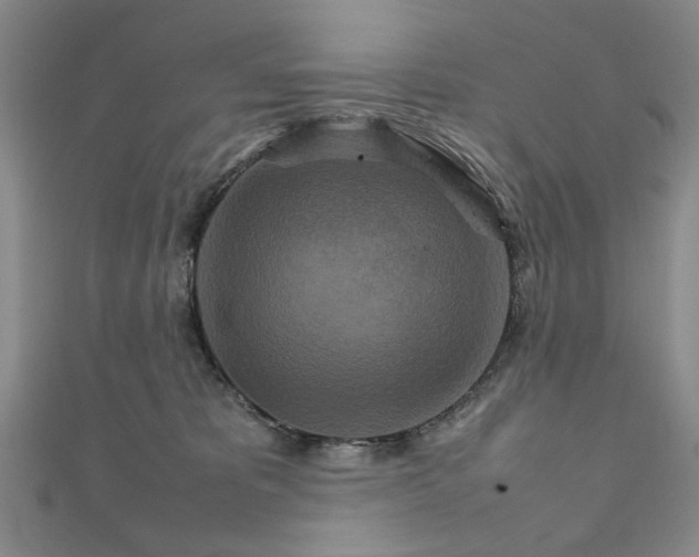 X0000111900325200908101145