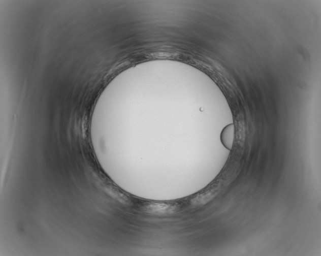 X0000111900326200908101145