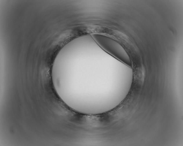 X0000111900327200908101145