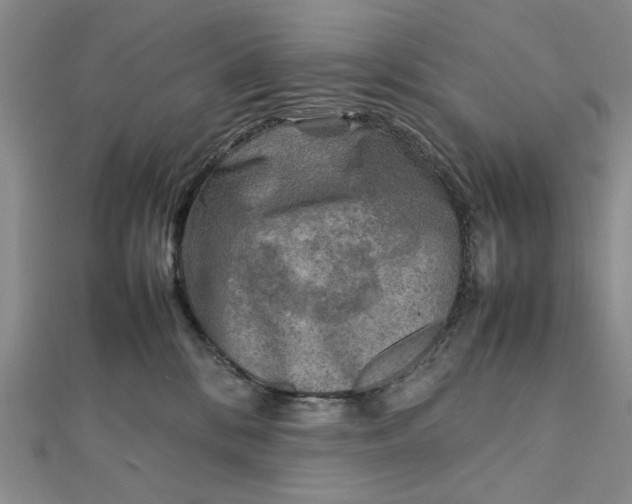 X0000111900328200908101145