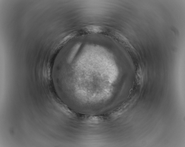 X0000111900330200908101145