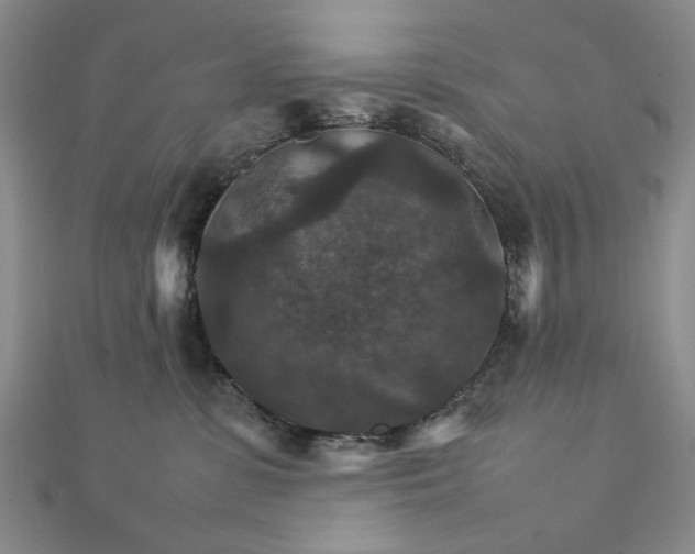 X0000111900331200908101145