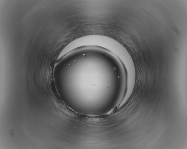 X0000111900332200908101145