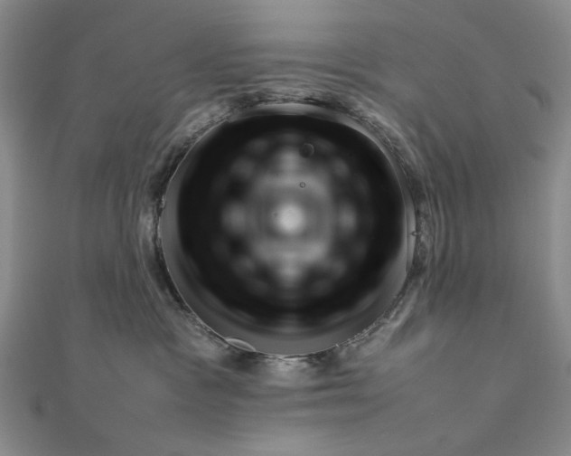 X0000111900333200908101145