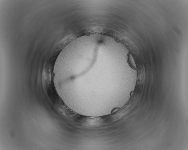 X0000111900334200908101145